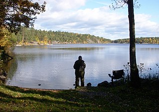 Västra viken med vy österut.