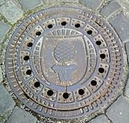 Kanaldeckel in Augsburg mit Zirbelnuss