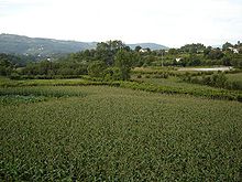 Paisagem minho.jpg