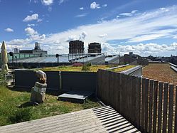 Sedum roof at Urban Deli, Stockholm