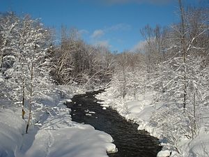 North Branch Salmon River, in New York's Tug Hill Region