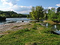 Das Naturschutzgebiet Limmatspitz von Pro Natura Aargau beim Zusammenfluss von Aare und Limmat