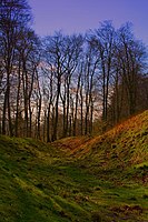 Inside the ditch surrounding Danebury