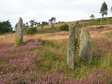 Resta stenar på Li gravfält