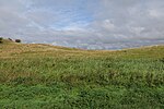 Thumbnail for File:Pasture in NP Vorpommersche Boddenlandschaft north of Hiddensee 2021-09-17 59.jpg