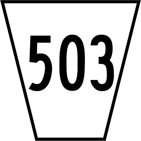 File:RR 503 jct.svg