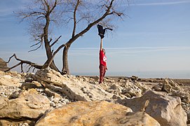 Merzhanovo, Sea of Azov, Coast, Rocks, Russia.jpg