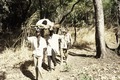 Escorta armada amb un ferit a la frontera senegalesa, Sara, Guinea Bissau, 1974