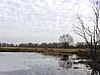 Hopton Fen