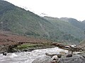 Log bridge on Kunar river, Pakistan