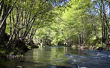 River Cùa between the towns of Vega de Espinareda and San Vicente in Spain.