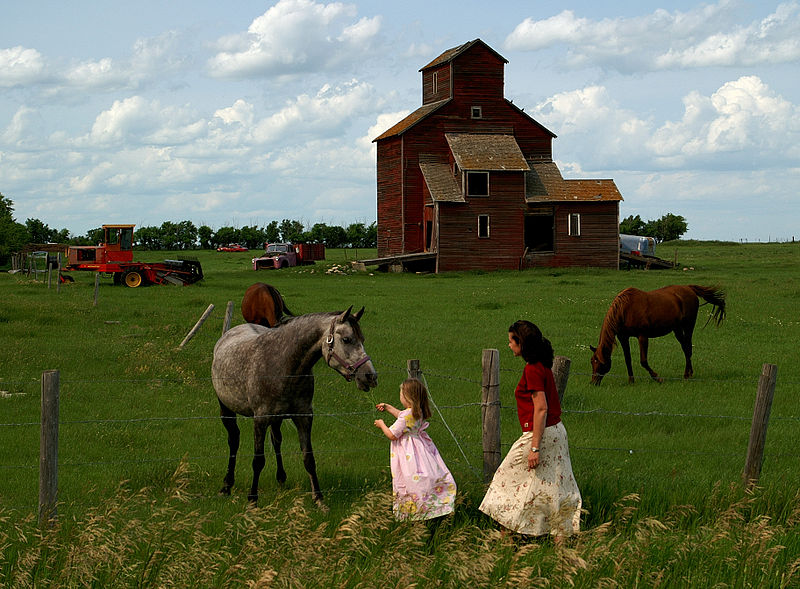 File:Saskatchewan Farm Elevator.jpg