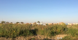 eBentiu