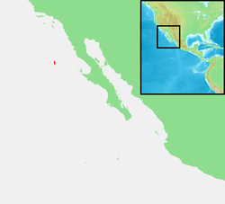 Isla Guadalupe