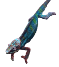 Thumbnail for File:ChameleonCutOut.png