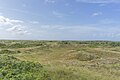 Dünen auf Langeoog