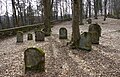 Jüdischer Friedhof in Heiligenstadt in Oberfranken