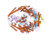 2o8e: human MutSalpha (MSH2/MSH6) bound to a G T mispair, with ADP bound to MSH2 only