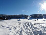 La piste de ski.