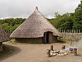 Crannog, casa irlandesa prenormanda