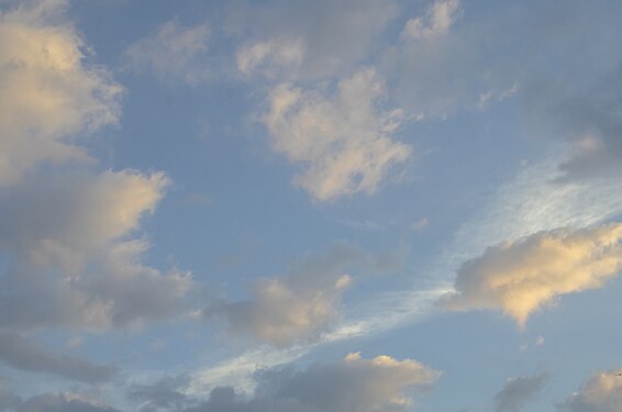 Golden clouds against a blue sky during dawn