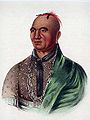 Coupe et coloration ou éléments ajoutés (plumes en particulier) ont été des signes d'appartenance pour beaucoup de peuples amérindiens (Joseph Brant ou Thayendanegea, dit «chef des six nations» en 1806).