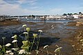 Boothbay_Harbor.