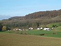 Zicht op de buurtschap vanaf de Wittemerweg