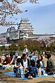 * Nomination: Family picnic, Himeji Castle. --DimiTalen 13:16, 25 October 2024 (UTC) * * Review needed