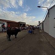 Festejo taurino en Valrío.jpg