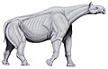 Indricotherium transouralicum Um perissodáctilo Altura: 6 m