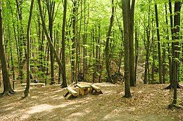 Yavorivskyi National Nature Park.jpg