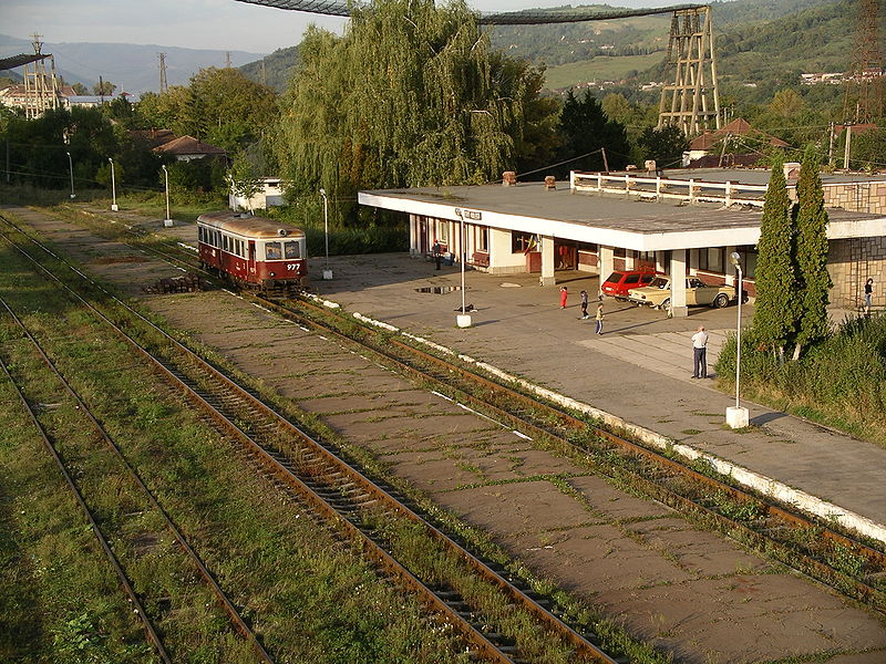 File:Schitu Goleşti station.JPG