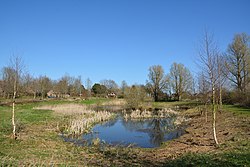 Skyline of Rantrum