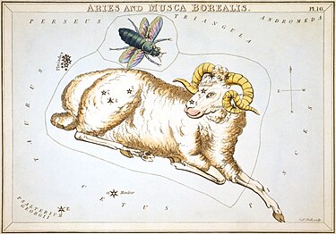 Carta 16: Aries i Musca Borealis