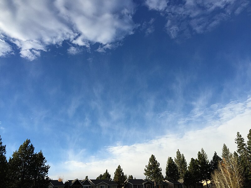 File:2015-11-01 07 16 19 Fall streaks along Martis Drive in Truckee, California.jpg