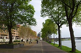 Zicht naar het zuiden met Maaspuntweg, Stoa, toren Bonnefantenmuseum, Maas en Kennedybrug