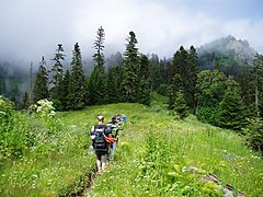 Borzsomi-Kharagauli Nemzeti Park