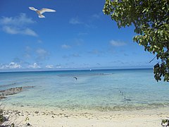 The Thirteen Islands of St Brandon - Images of Île Raphael, Cargados Carajos in Mauritius