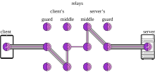 A client, represented as a phone, sending traffic to an onion labelled the client's "Guard" with five nested lines, then going to a "Middle" onion with four nested lines, then going to another "Middle" with three nested lines, then going to the server's "Middle" via two nested lines, going to another "Middle" with three nested lines, going to a "Guard" with four nested lines, and finally going to the Server with five nested lines.