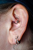 Daith-Piercing