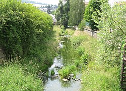 Bílovka v Bílovci