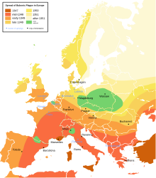 A computer generated map of Europe, with bands of colour marking the spread of the Black Death. England appears in amber, showing infection halfway through the epidemic