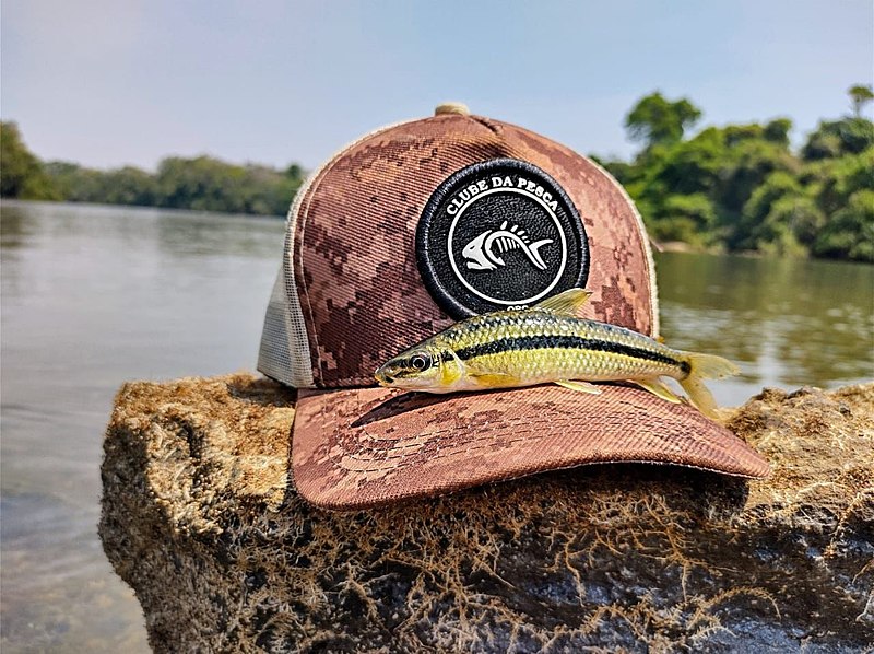 File:CLUBE DA PESCA.org cap with a fish on.jpg