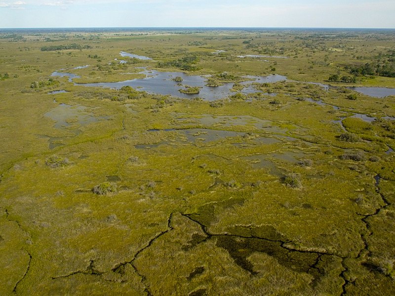 File:De Okovango Delta vanuit de lucht (6558973559).jpg