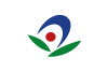 Flag of Akiruno Tokyo