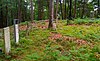 Gumaer Cemetery