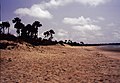 Image 2Gunjur is a small coastal town in south-western Gambia.