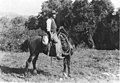 Cowboy George McJunkin, about 1907