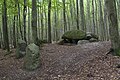 Dolmen near Sassnitz, Mecklenburg-Vorpommern / Großsteingrab bei Sassnitz